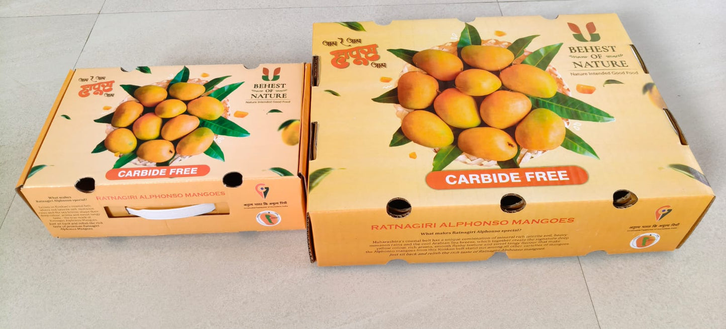 Ratnagiri Hapus / Alphonso Mango