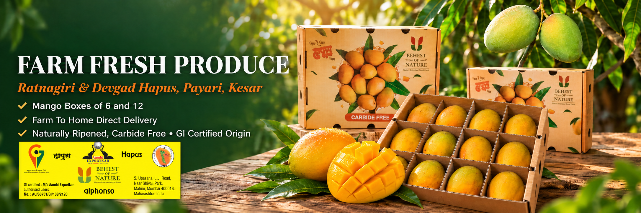 Ratnagiri Alphonso Mangoes with Authentic GI Tag, Farm to Home