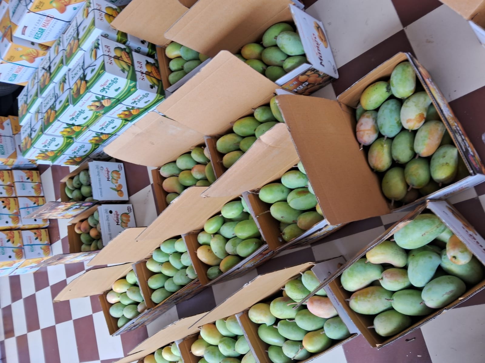 Kutch Kesar mangoes
